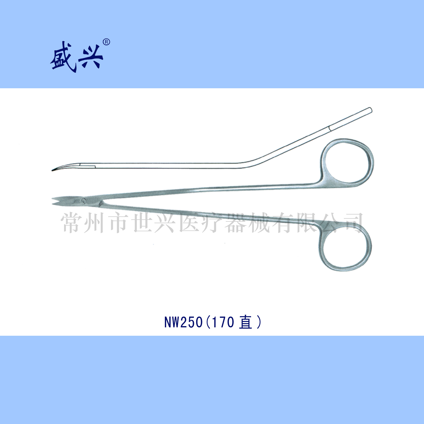 三叉神经剪副本